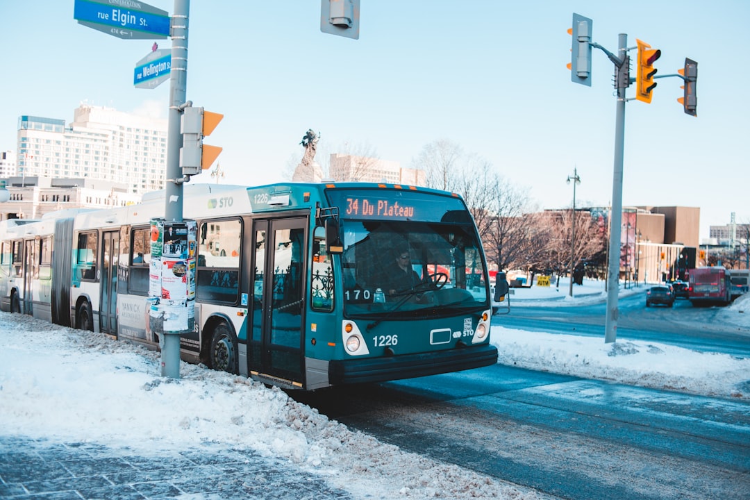 red and white bus on road during daytime