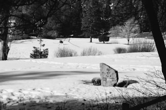 A snowy landscape with a golf course sign for hole 17, indicating it is a par 4. Trees in the background frame the setting, and there are footprints in the snow.