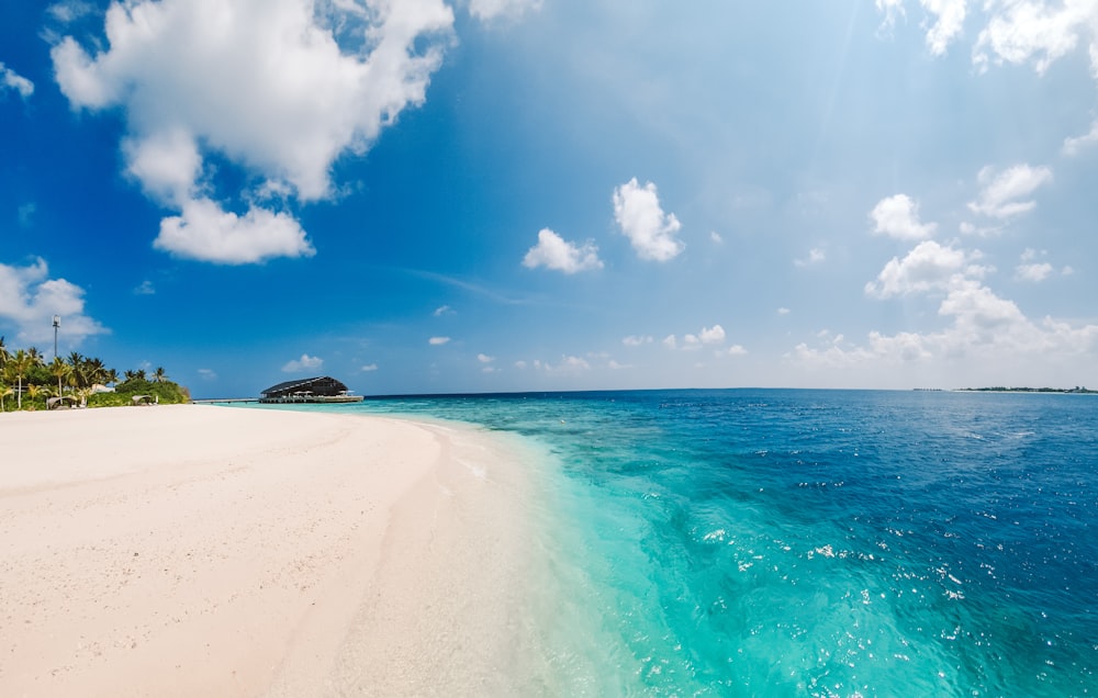 white and blue sky over beach