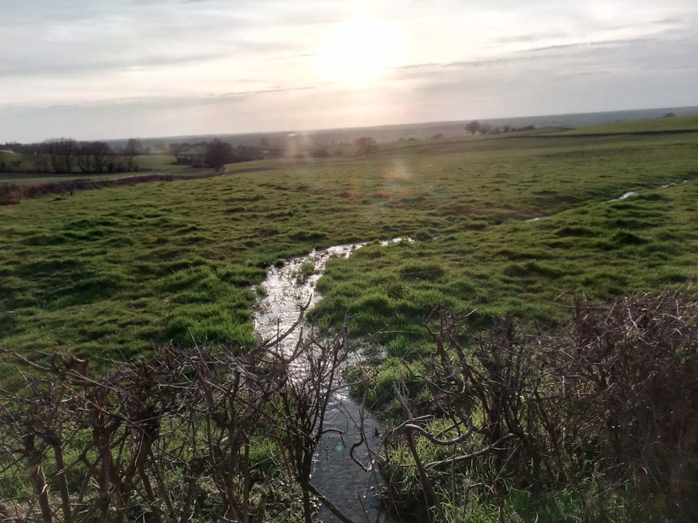 green grass field near river under cloudy sky during daytime