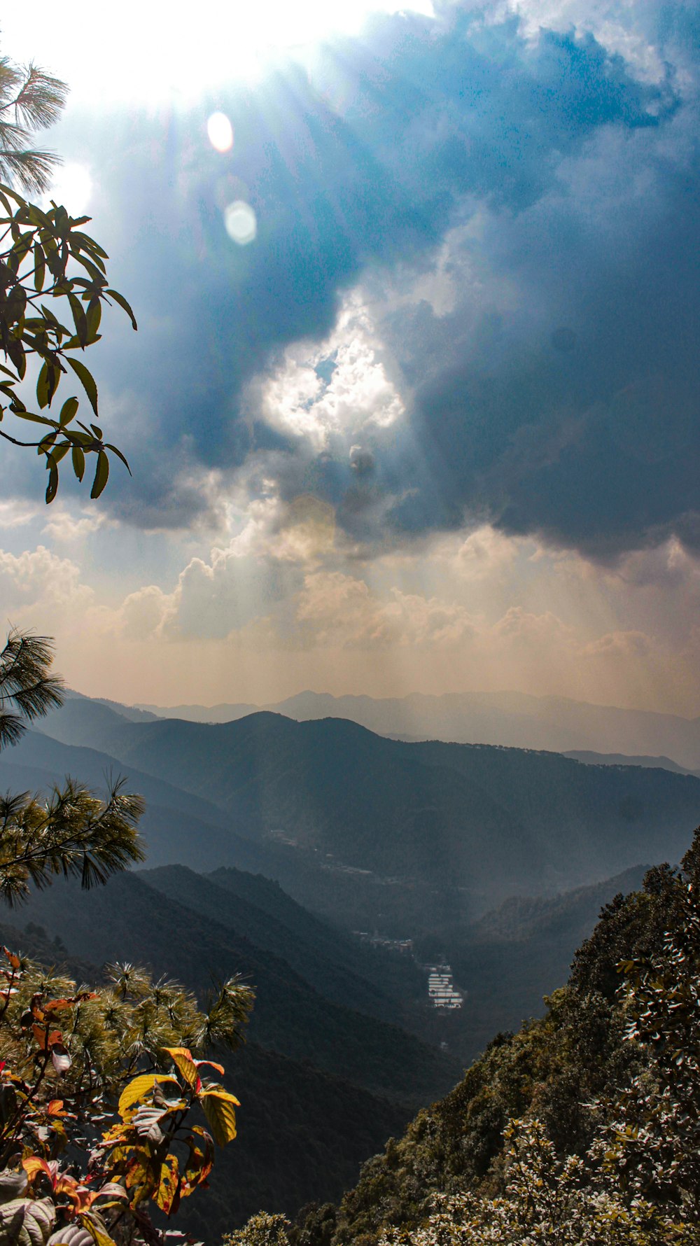 Palmera verde cerca de la montaña bajo nubes blancas durante el día