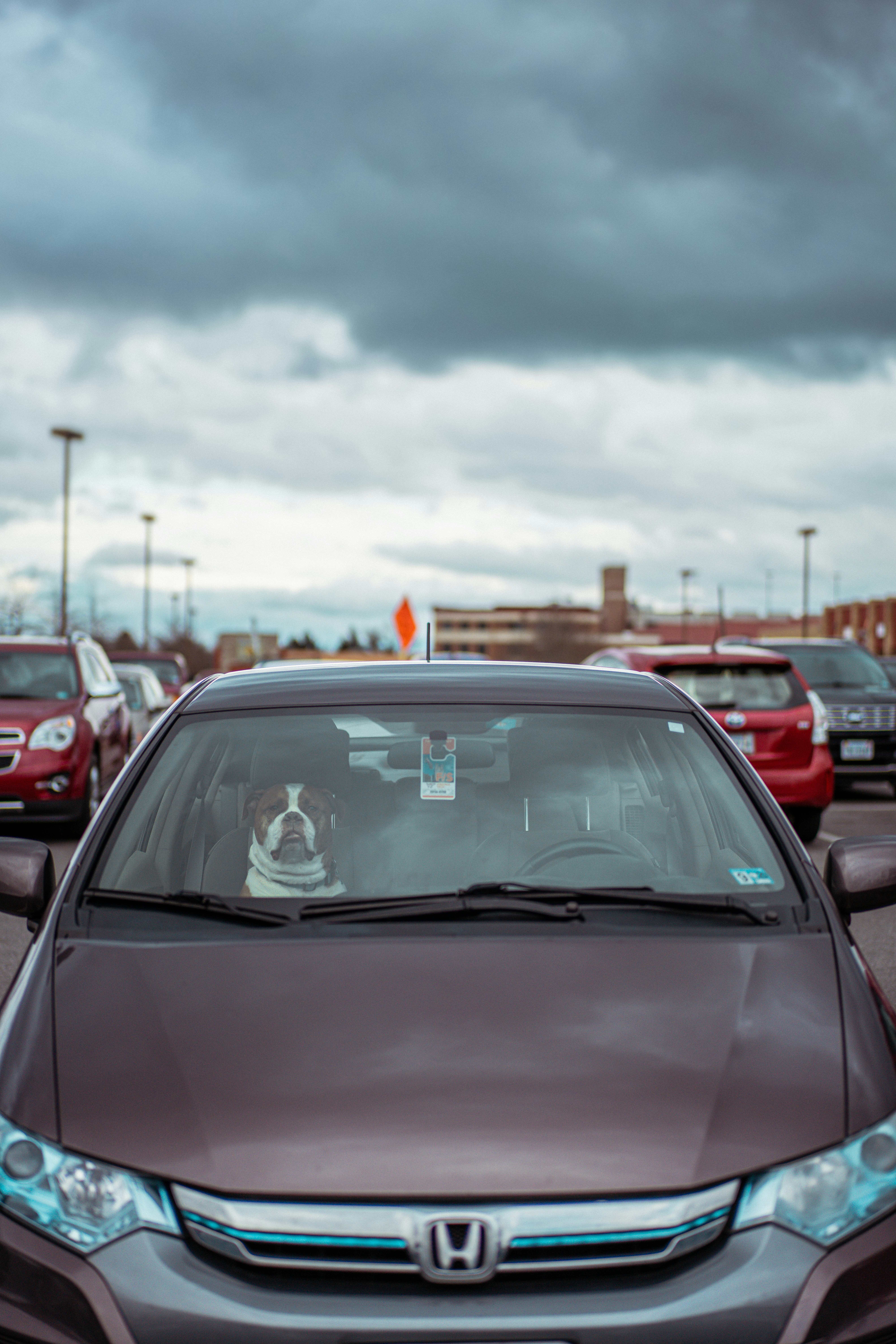 insurance car
