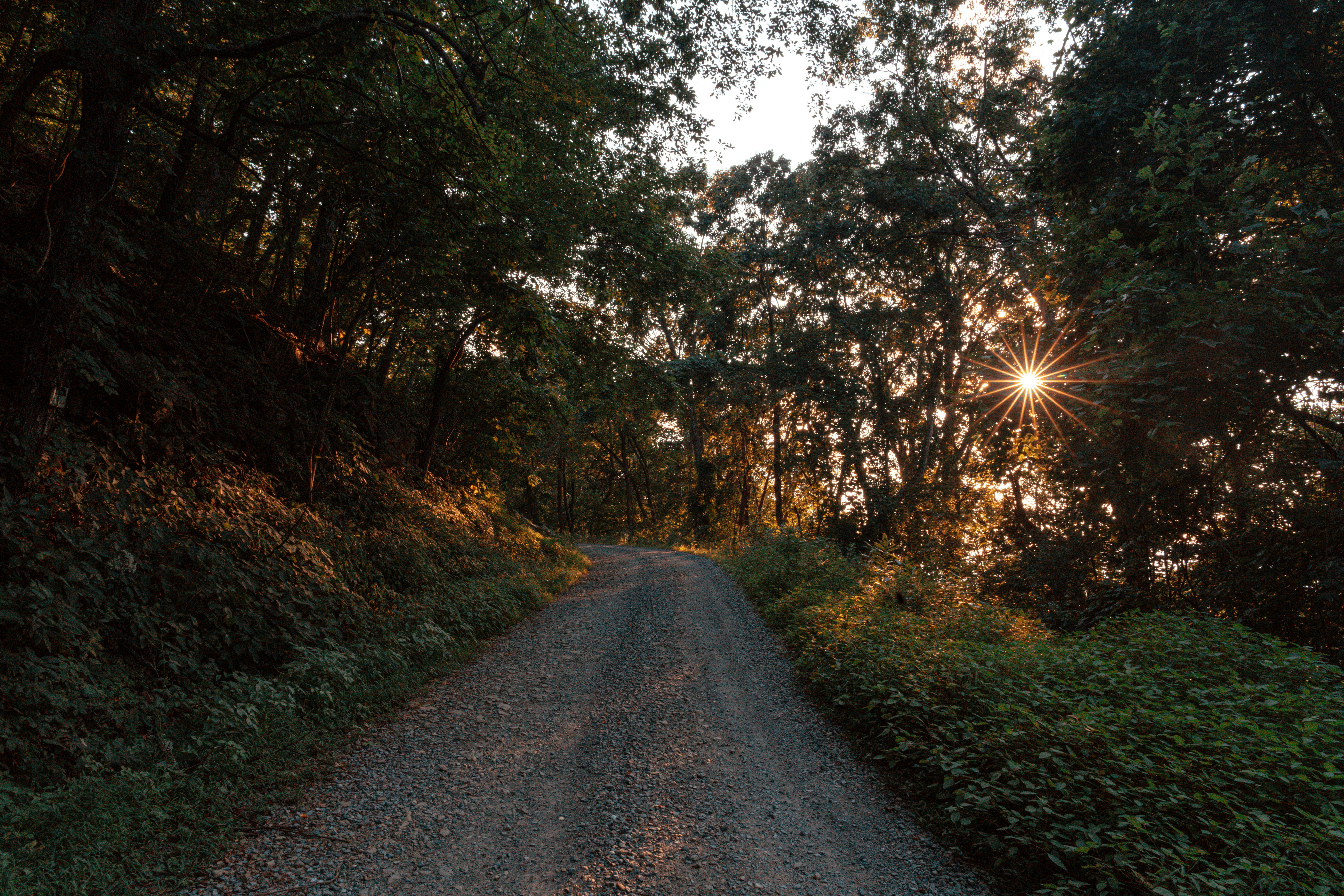 Photo by vasupendyalaa