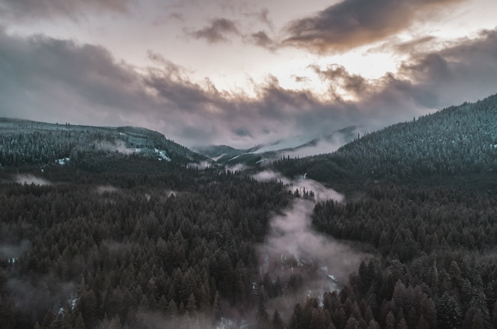 green trees on mountain under cloudy sky during daytime