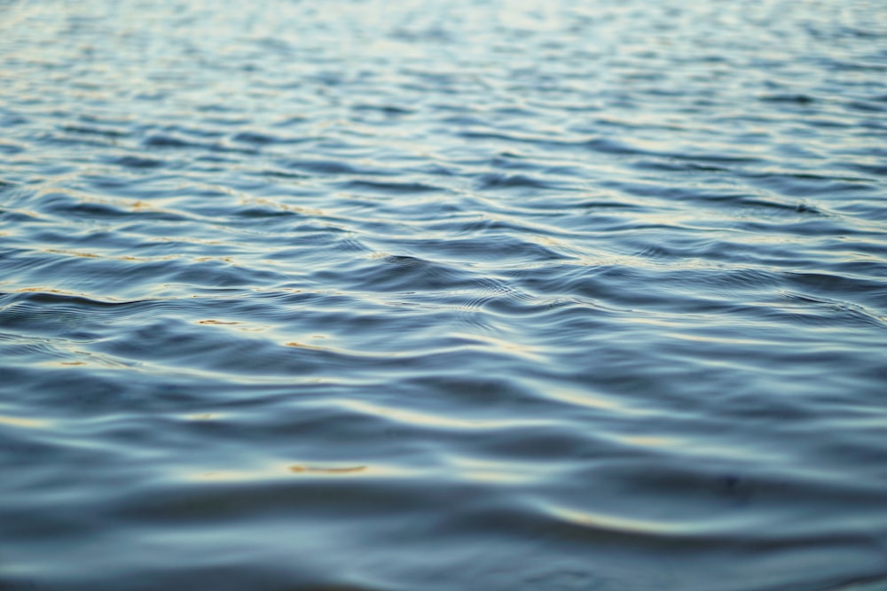 body of water during daytime