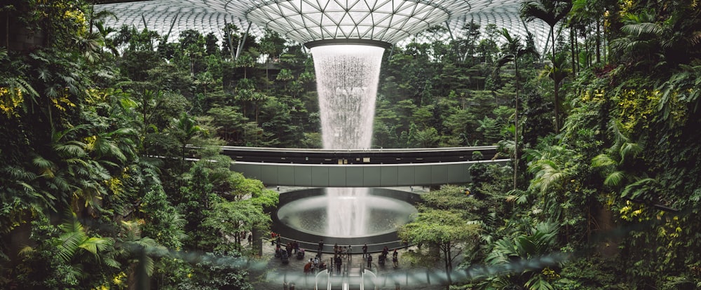 a large waterfall in the middle of a forest