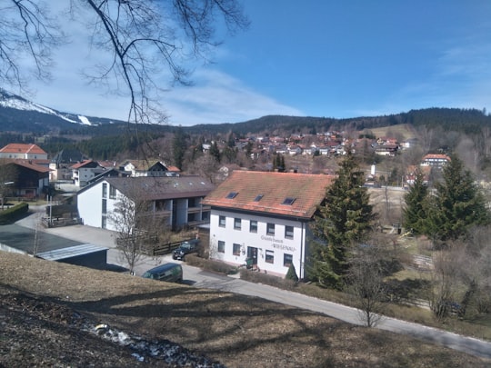 white and brown concrete house near bare trees during daytime in Šumava Germany