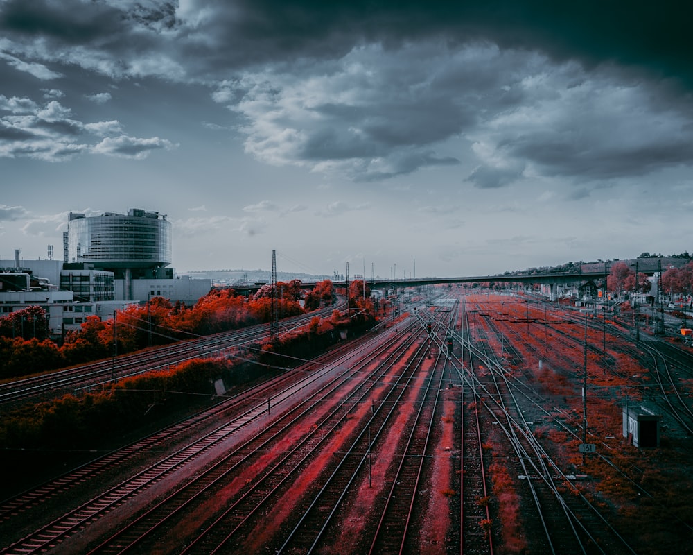 time lapse photography of cars on road during daytime