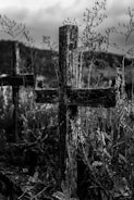 grayscale photo of barbwire with water droplets