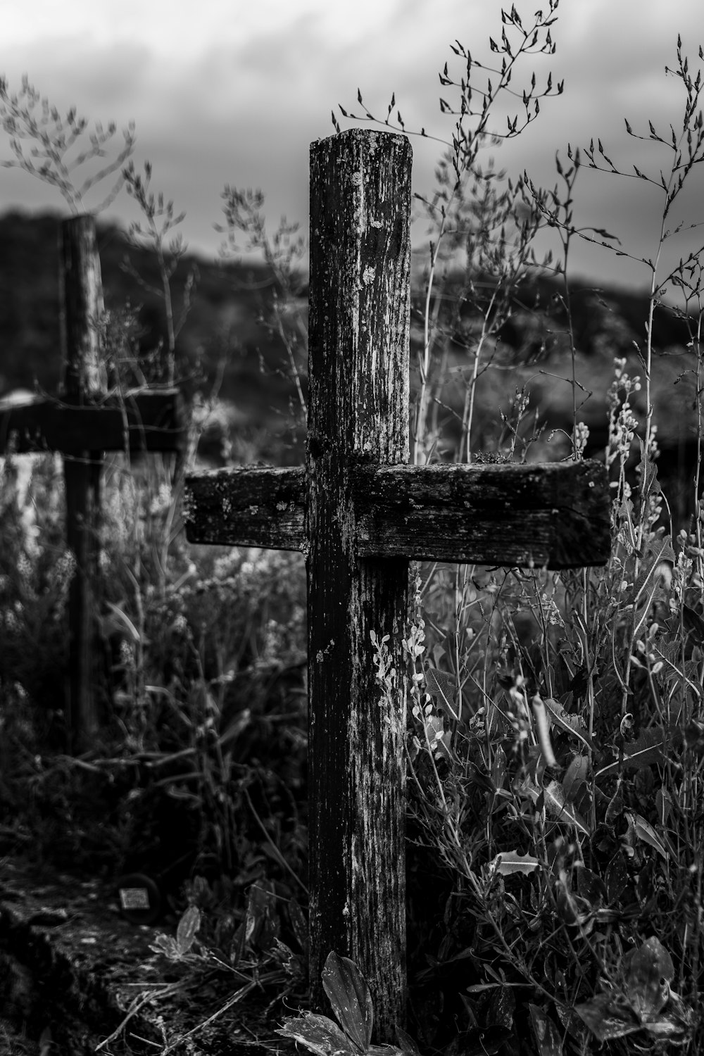 grayscale photo of barbwire with water droplets