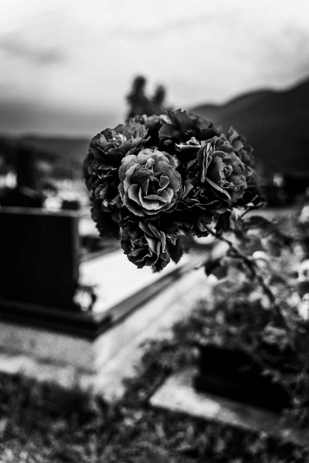 greyscale photo of bouquet of roses