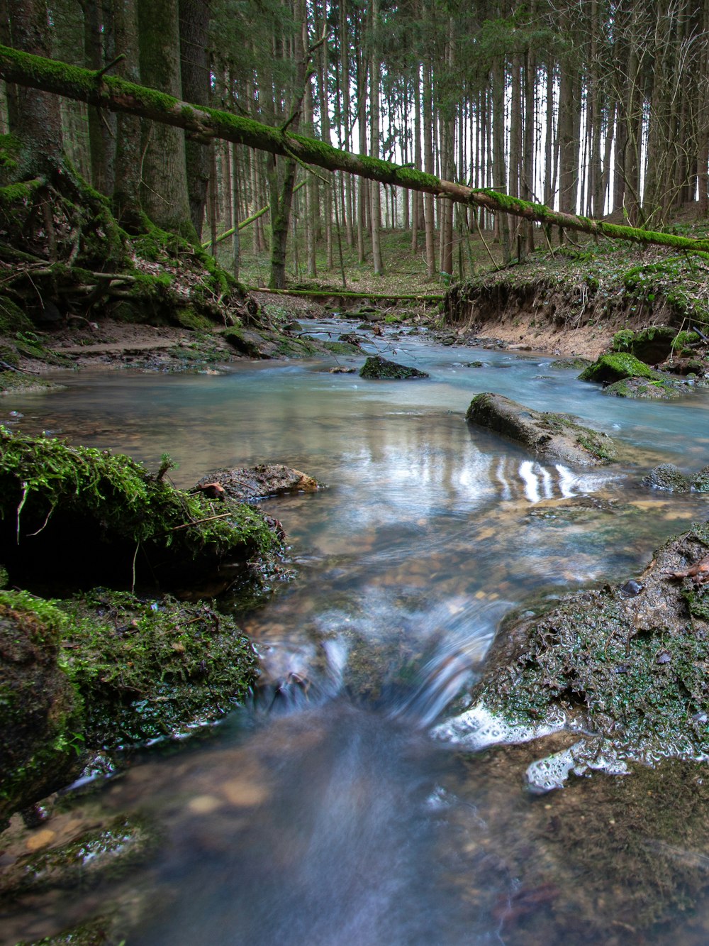 water falls in the middle of the woods