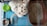 Two white cats are in a cage with a blue floor. One cat is looking up directly into the camera, while the other cat is lying down. There is a green water bowl, a silver food dish with some food in it, and a brown litter box filled with sand.