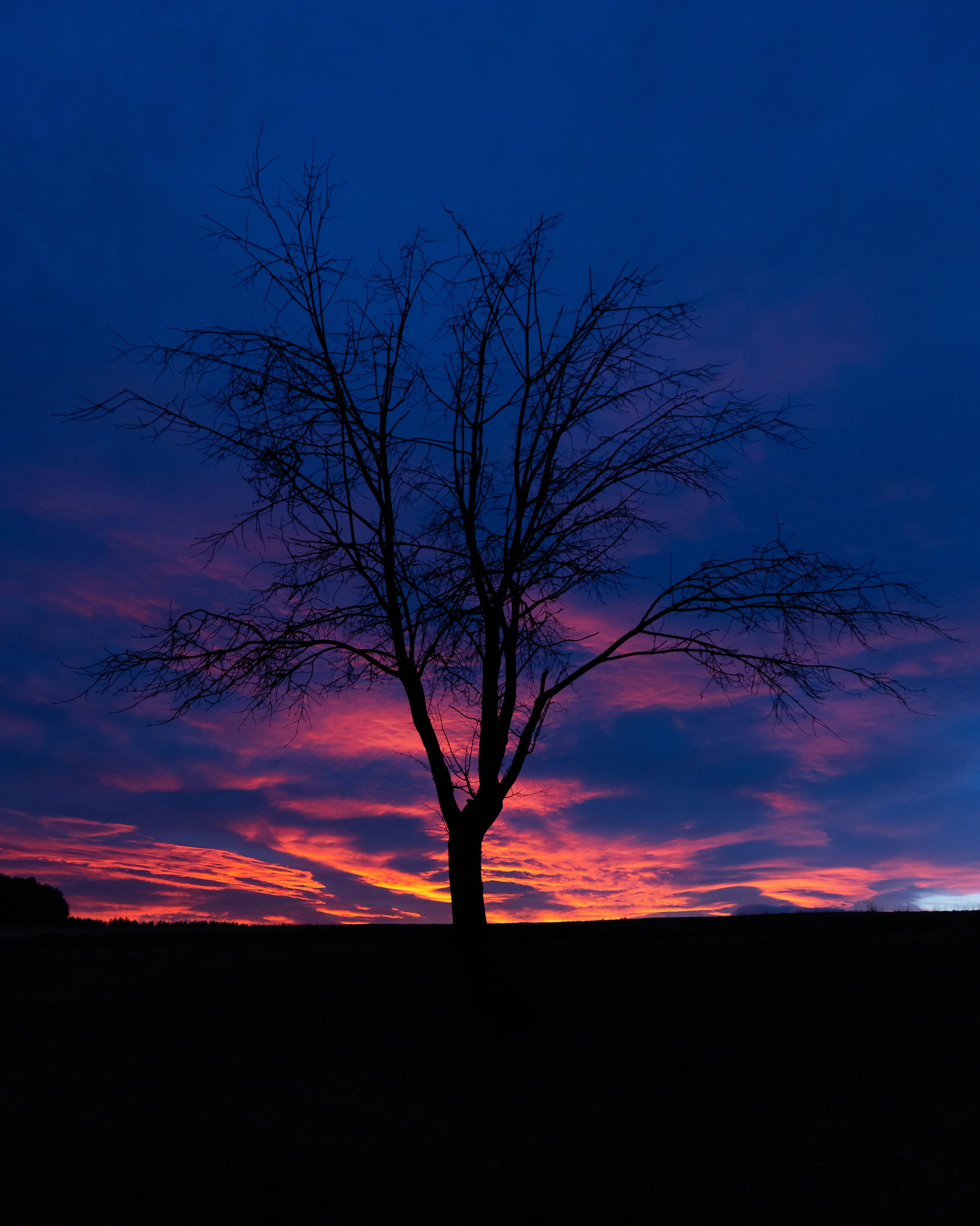 Photo by quaritsch