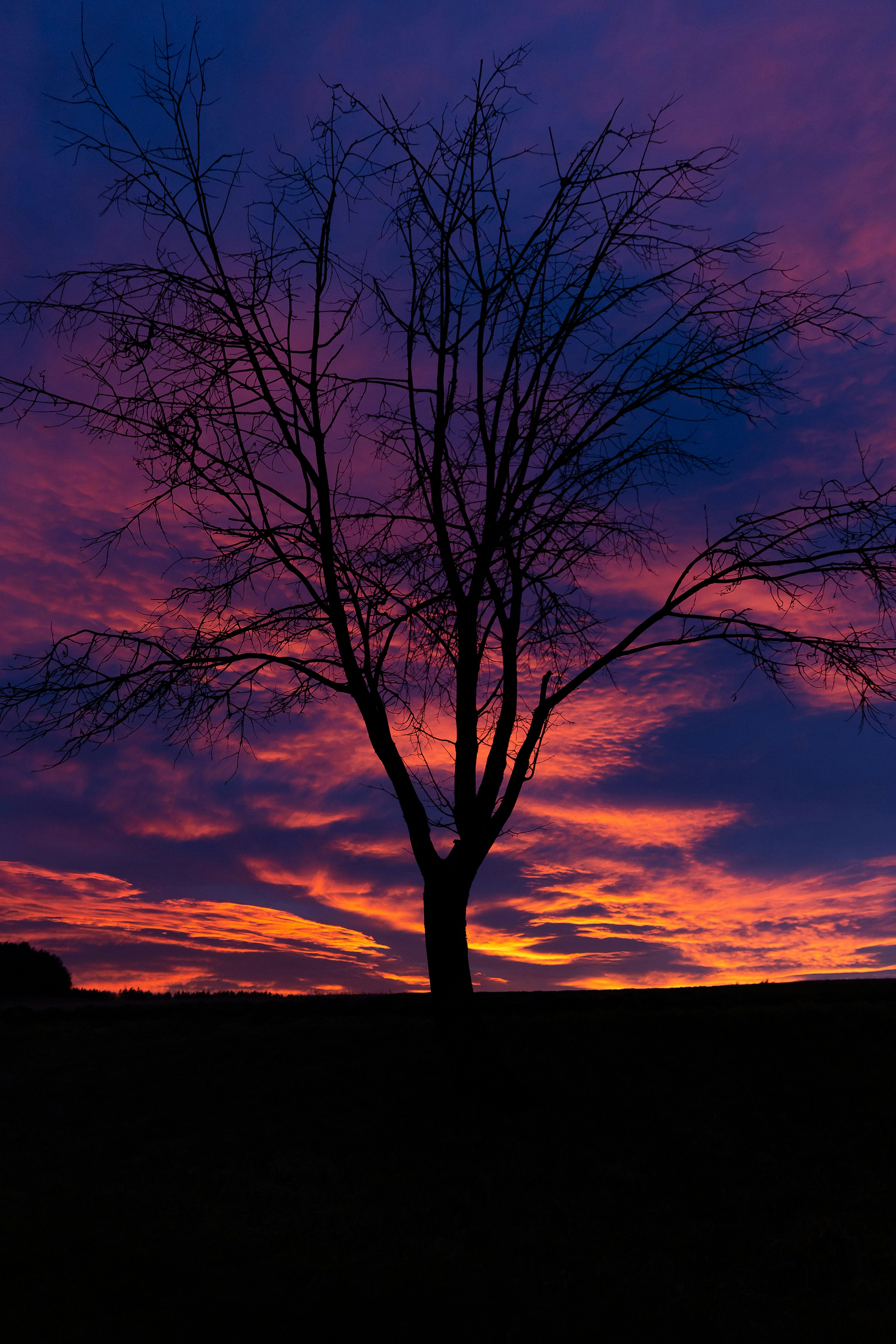 Photo by quaritsch