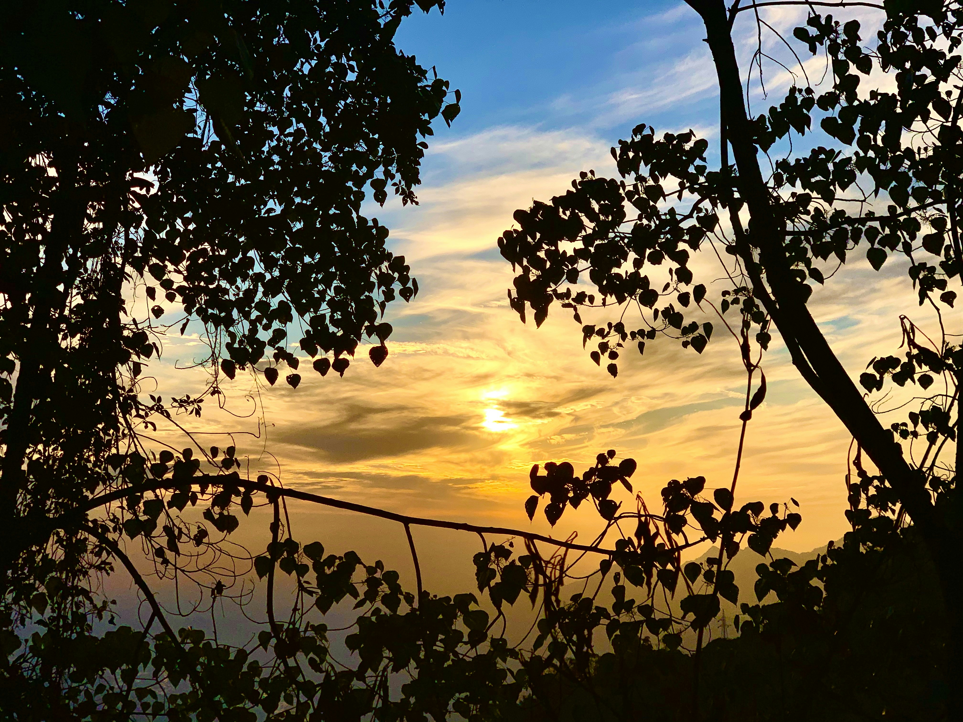 Photo by pgyamtsho