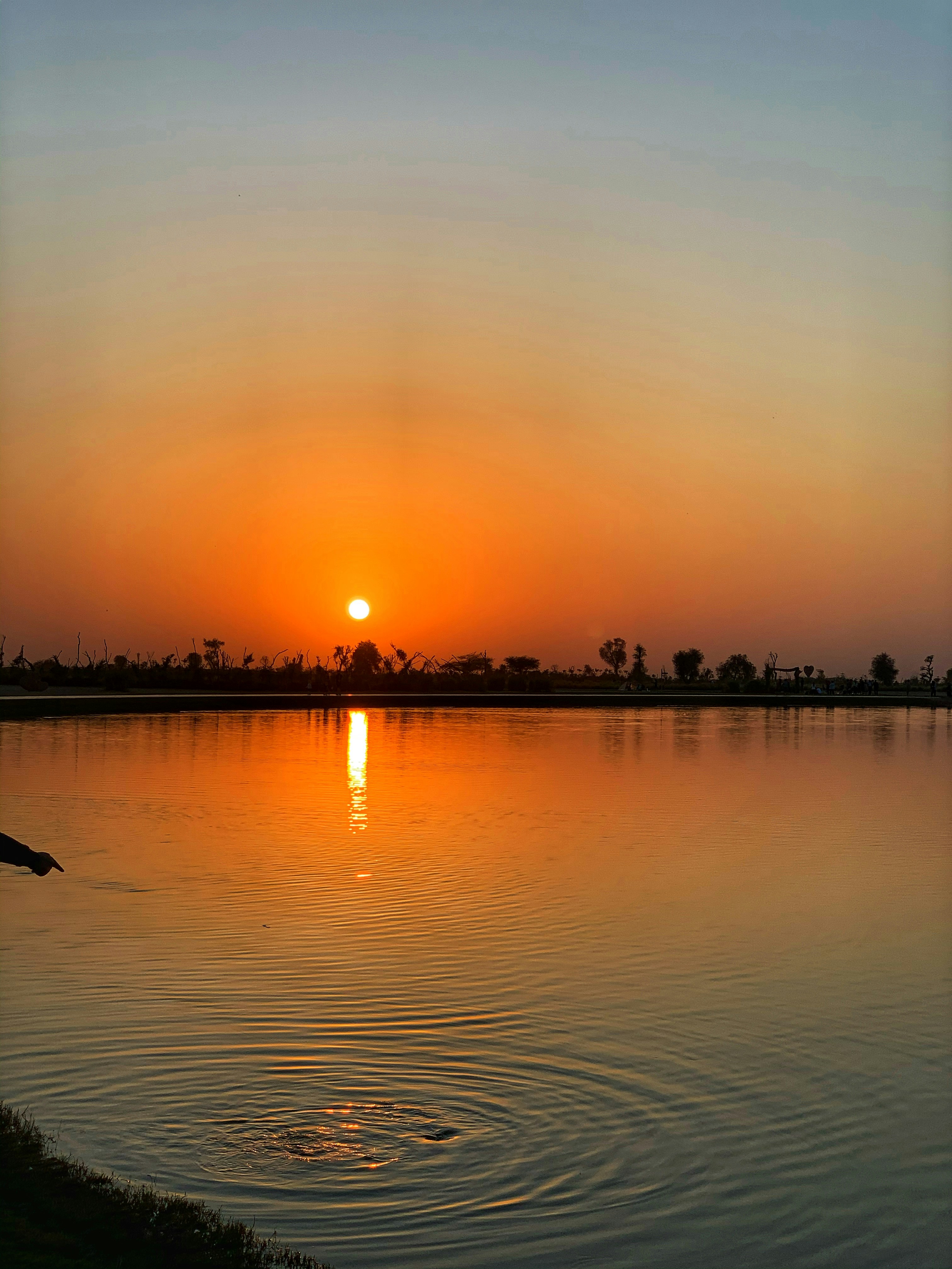 Photo by masarathalkhaili