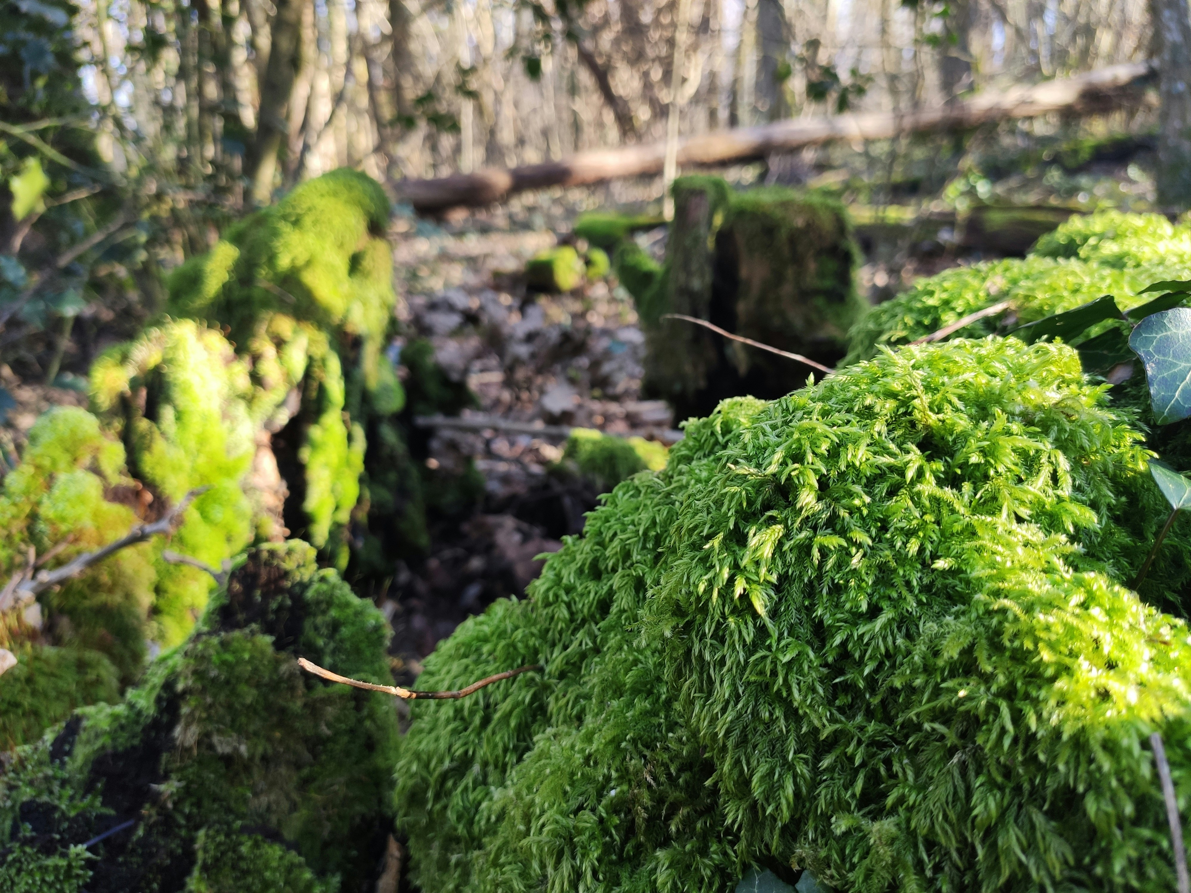 Photo by quentindel73