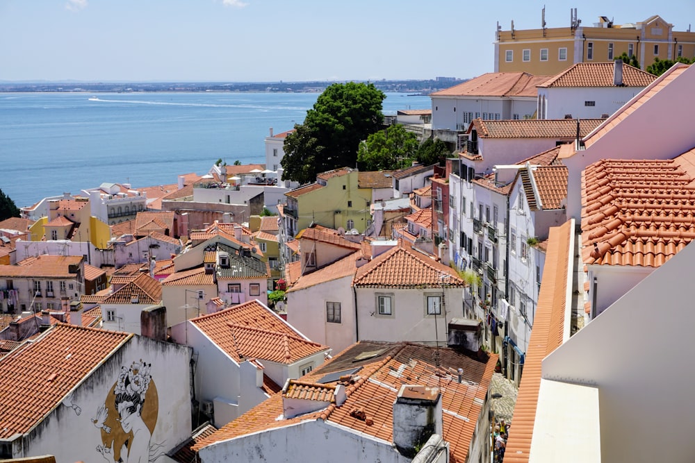 brown and white concrete houses near sea during daytime