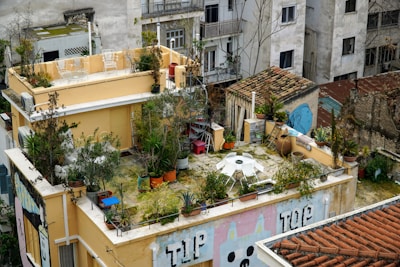 A rooftop garden with numerous potted plants, including green shrubs and small trees, is set on a beige building. A white outdoor table with chairs is positioned prominently in the center, surrounded by various pots and gardening tools. The rooftop also features a small hut with a clay-tiled roof and a large painted mural on the side of the building. Other buildings with balconies and windows are visible in the background, creating an urban setting.