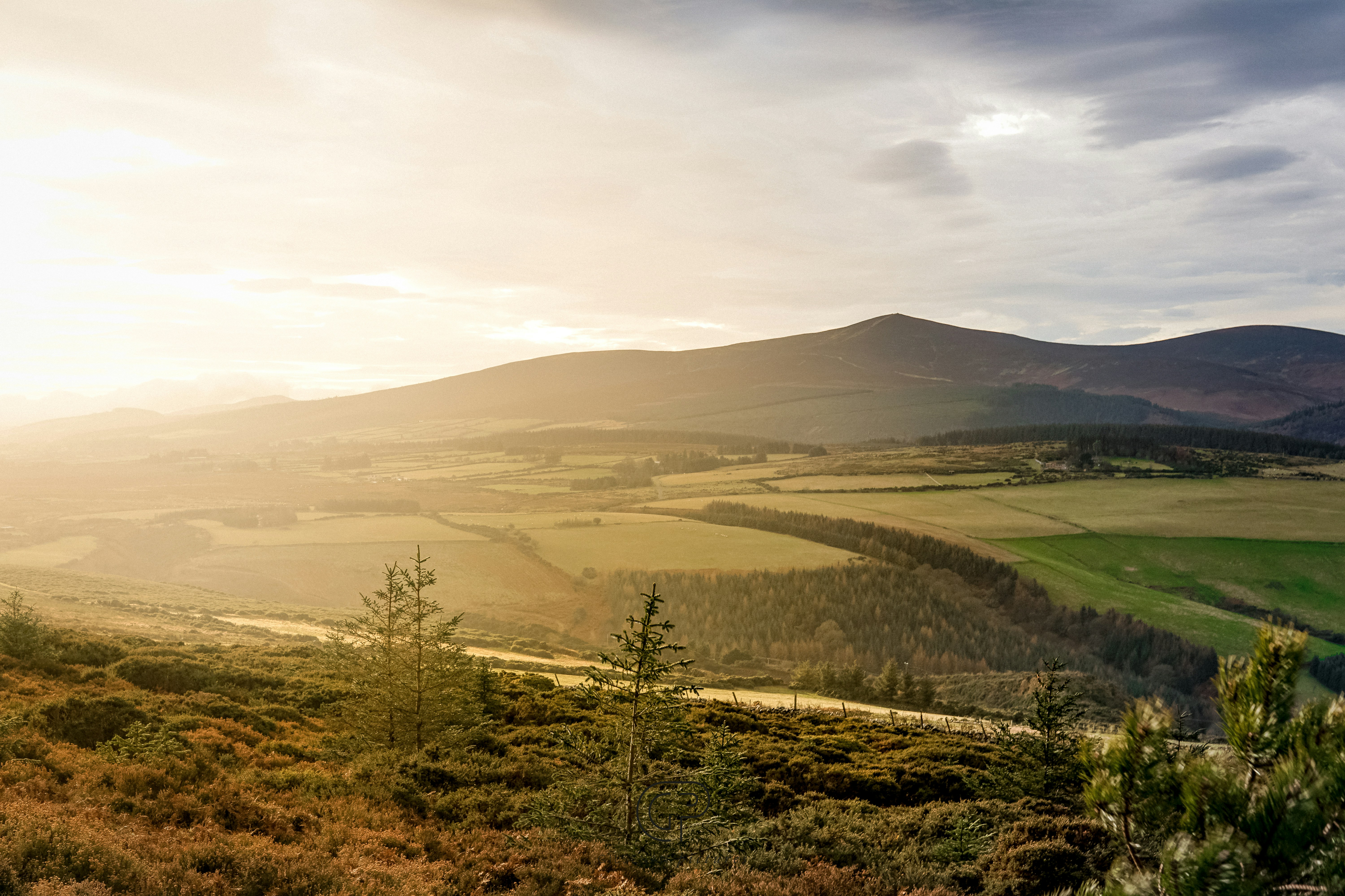 Photo by gilsenan_pictures