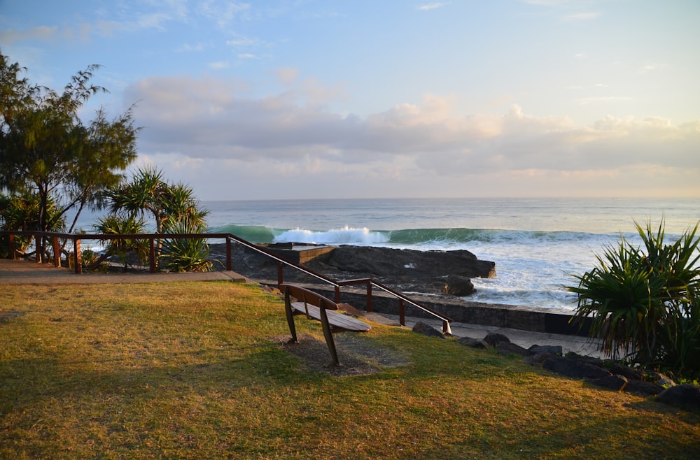 brown wooden bench on green grass field near body of water during daytime