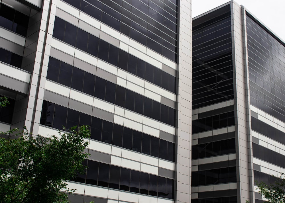 white and black concrete building