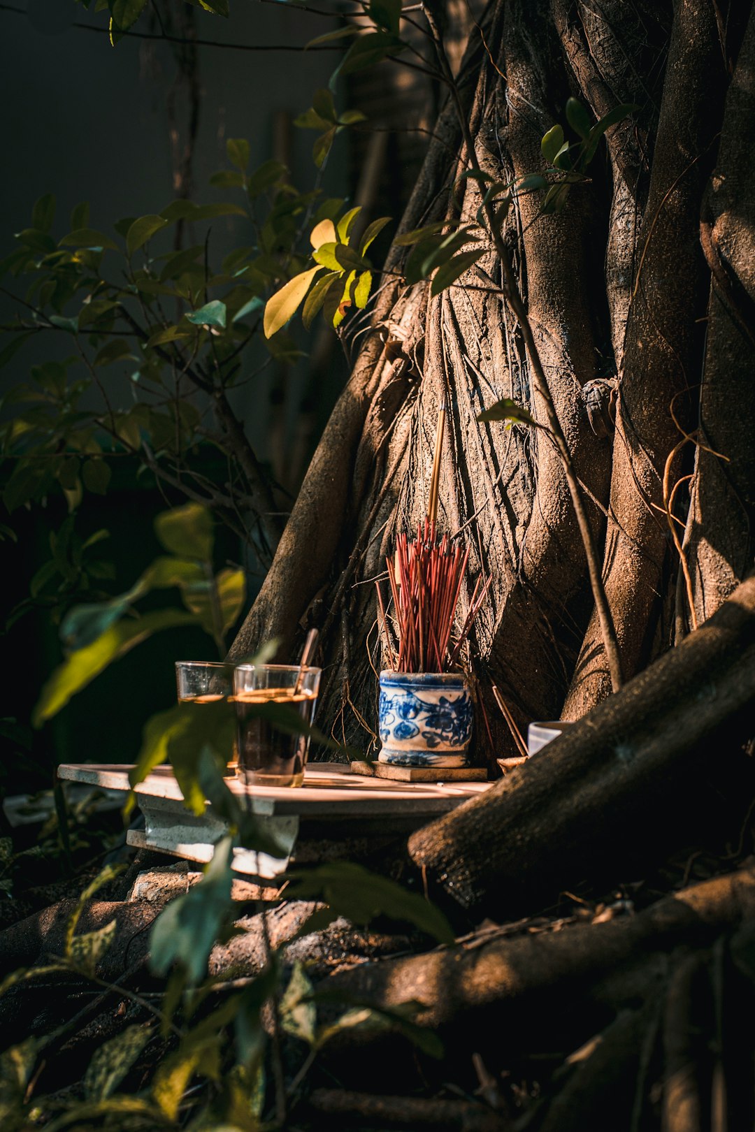 travelers stories about Jungle in Starbucks, Vietnam