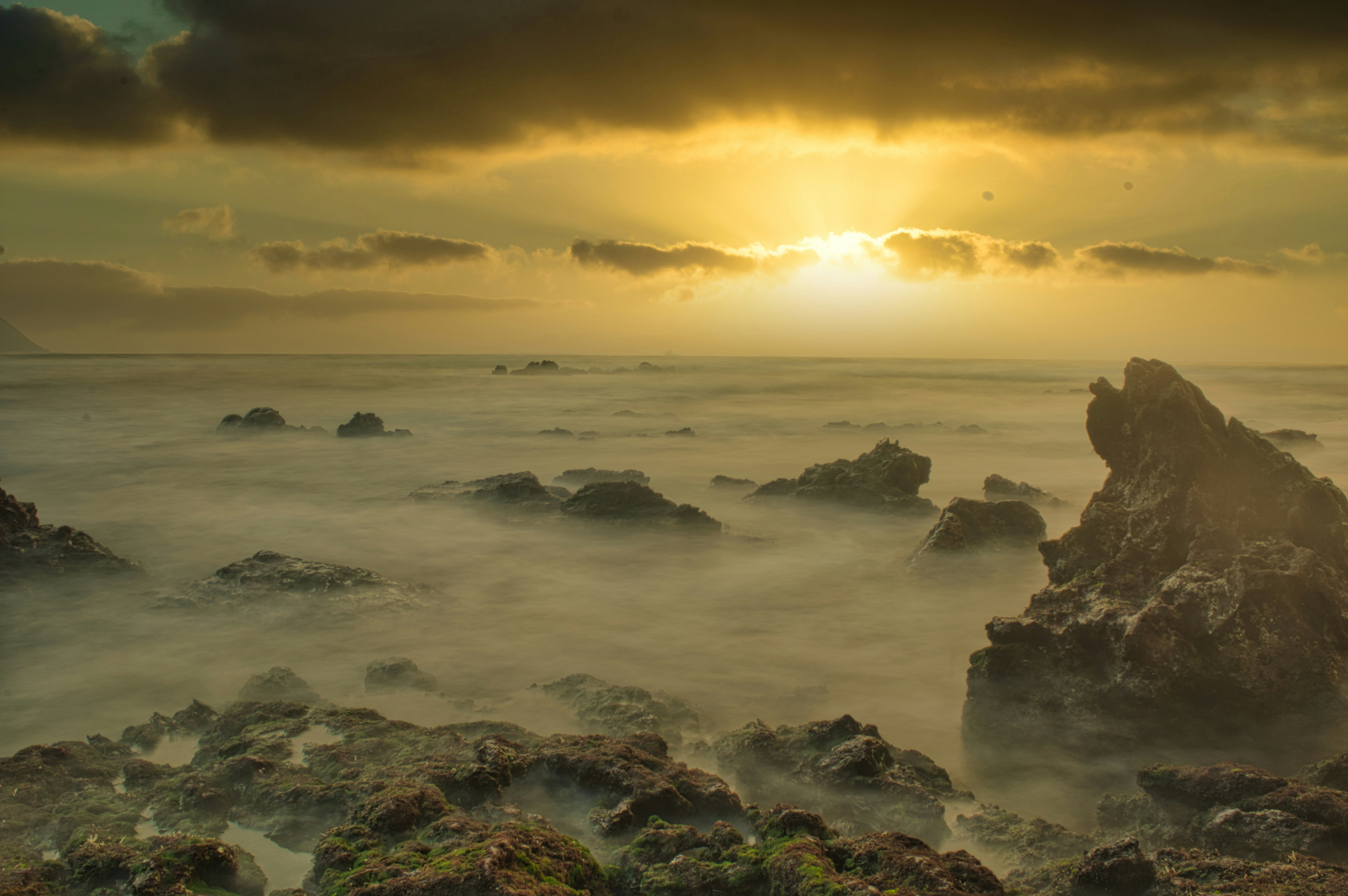 Photo by satyadeep_d