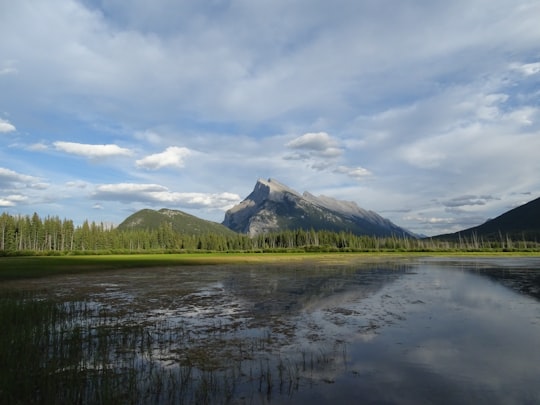 green grass field near lake and mountain under white clouds during daytime in Vermilion Lakes Canada
