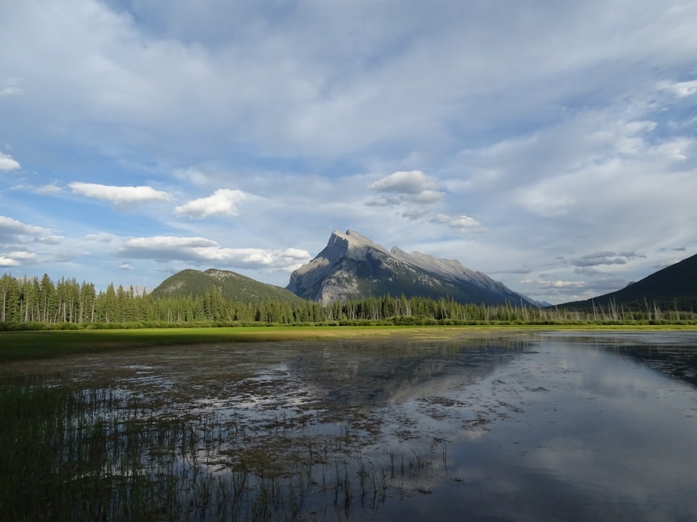 Grünes Grasfeld in der Nähe von See und Berg tagsüber unter weißen Wolken