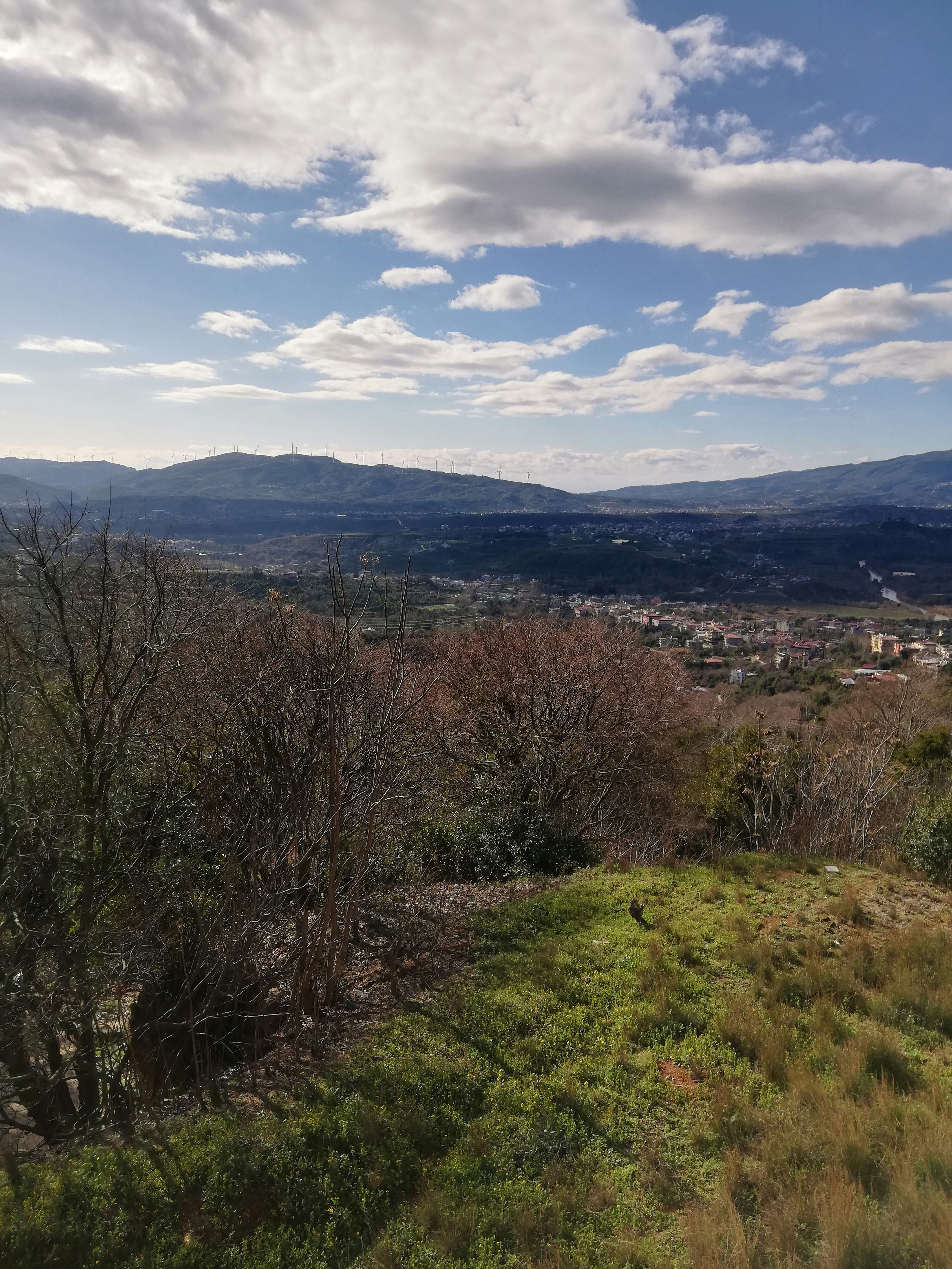 Photo by foto_great1