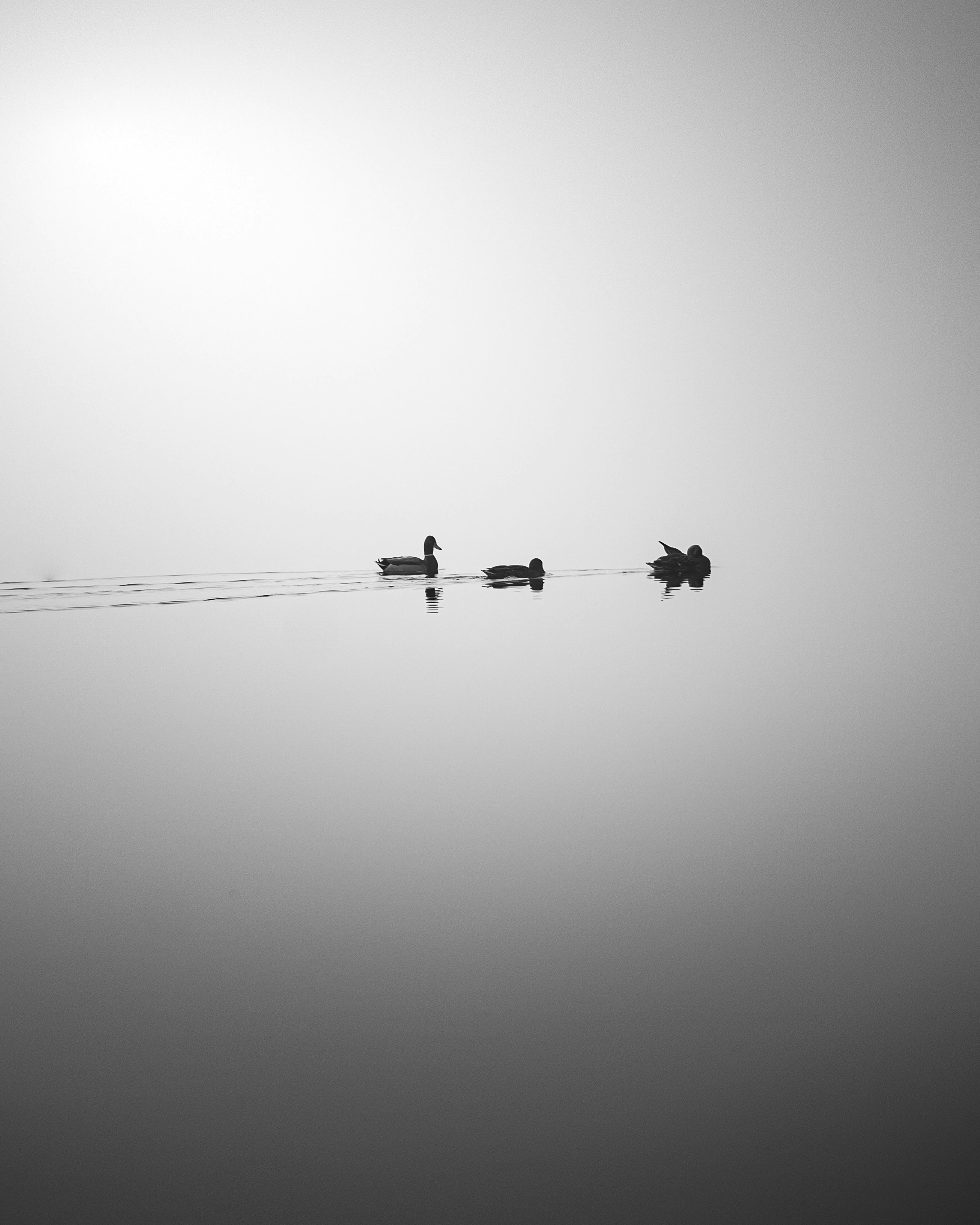 Photo by lachlangowen