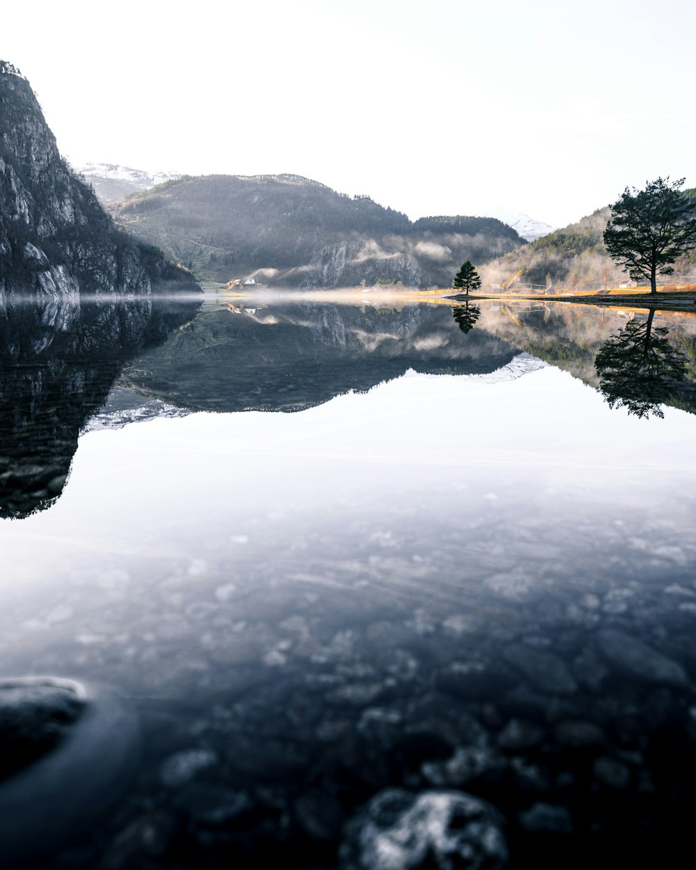 昼間の湖畔の緑の木々