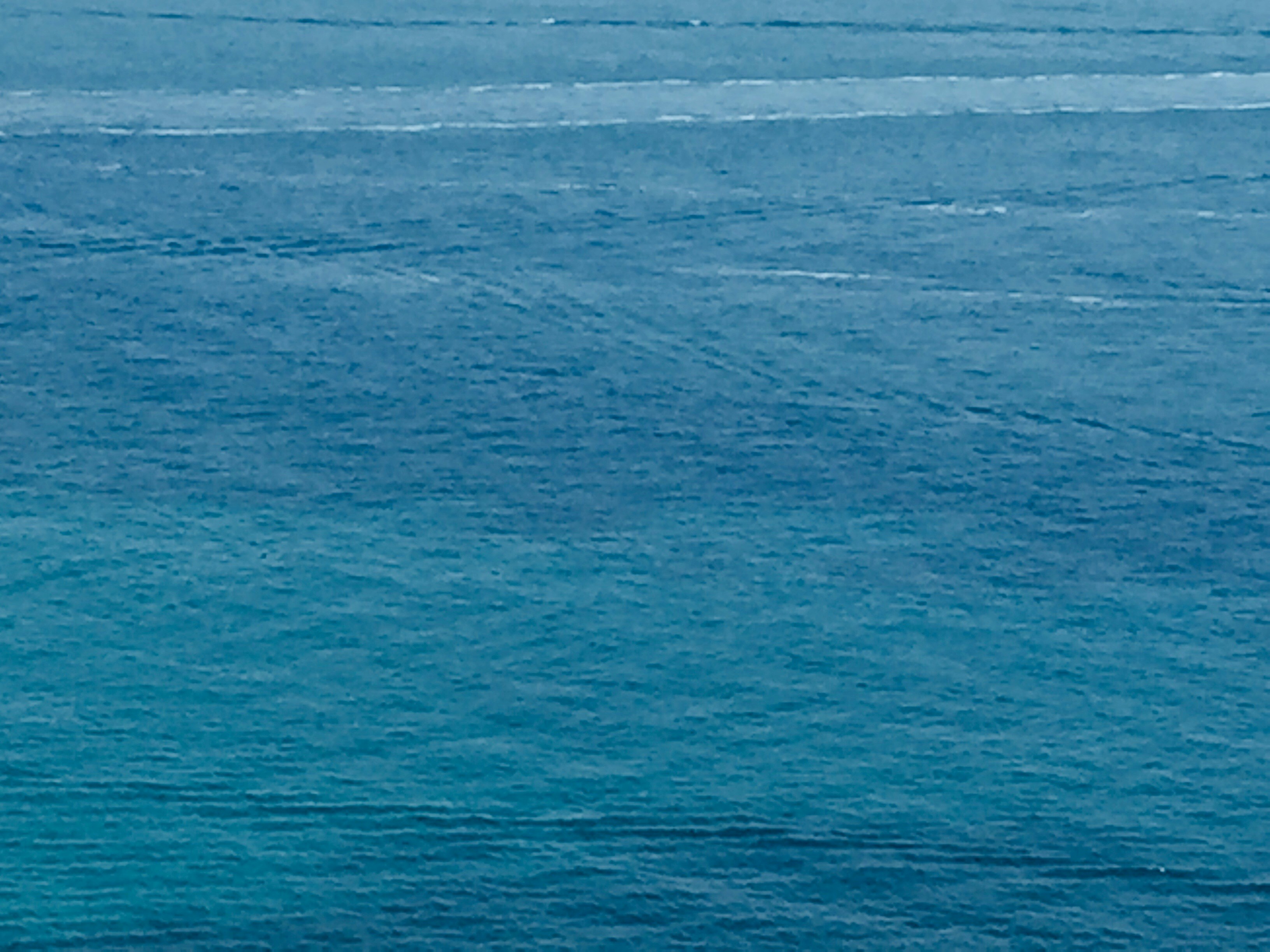 Photo by sako_sarah_koenig