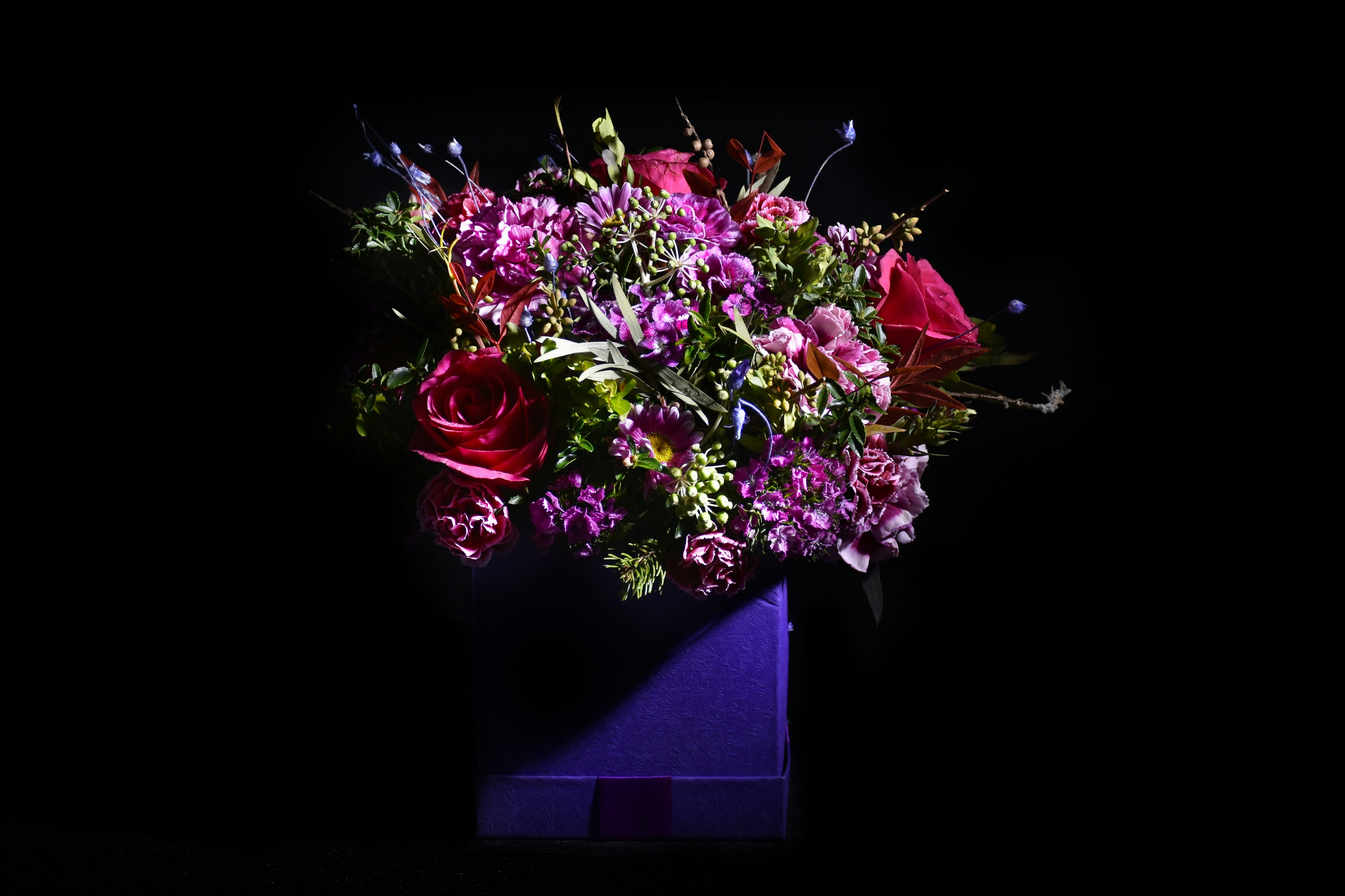 黒の背景にピンクのバラの写真 Unsplashで見つけるテヘランの無料写真