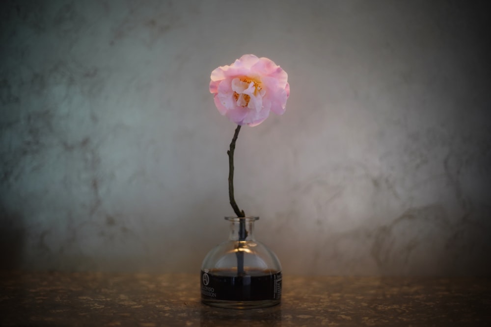 pink rose in glass bottle