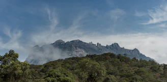 green trees on mountain under white clouds during daytime