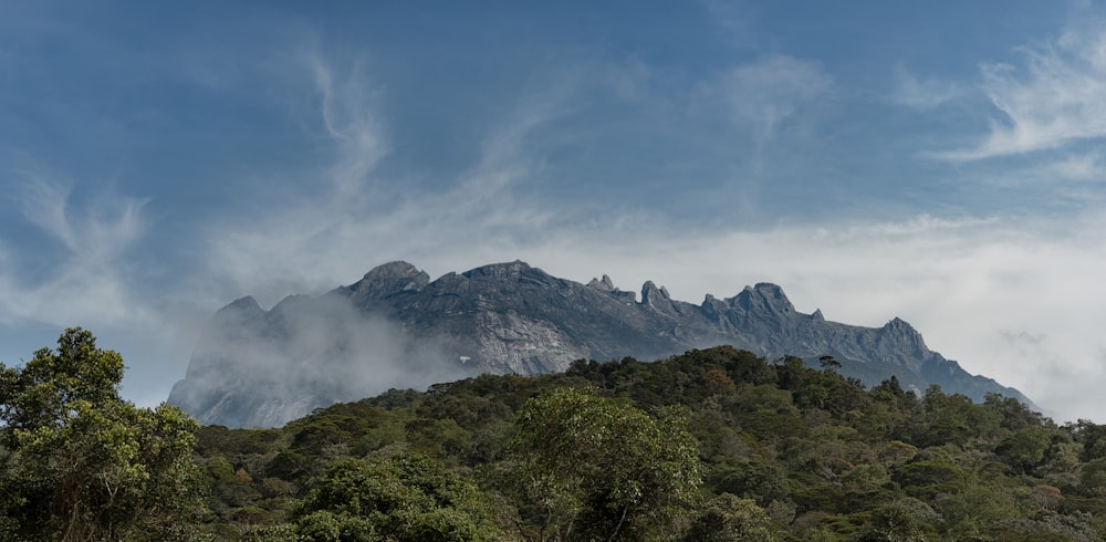 green trees on mountain under white clouds during daytime