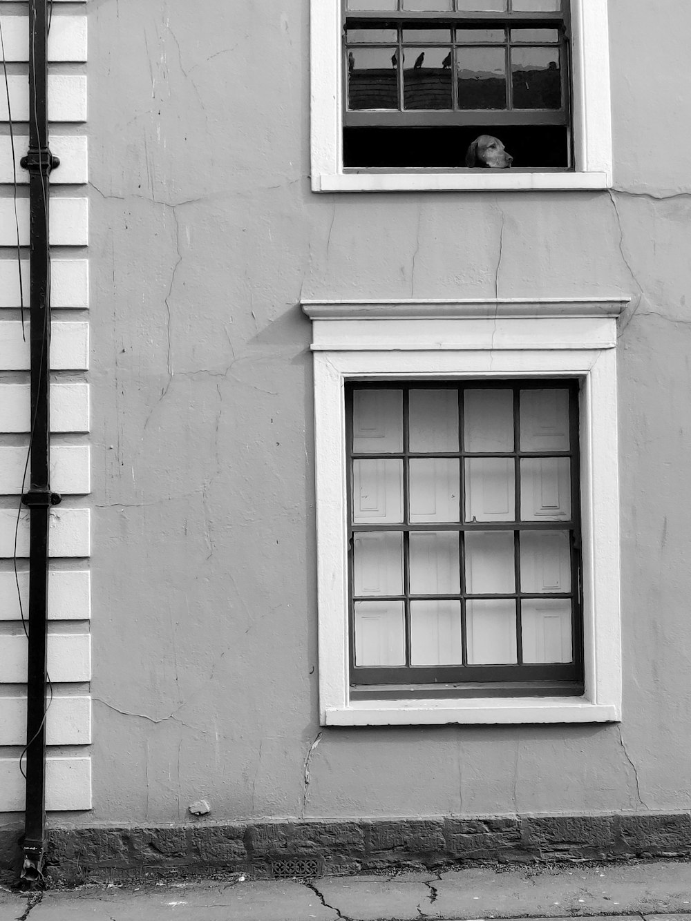 white wooden framed glass window