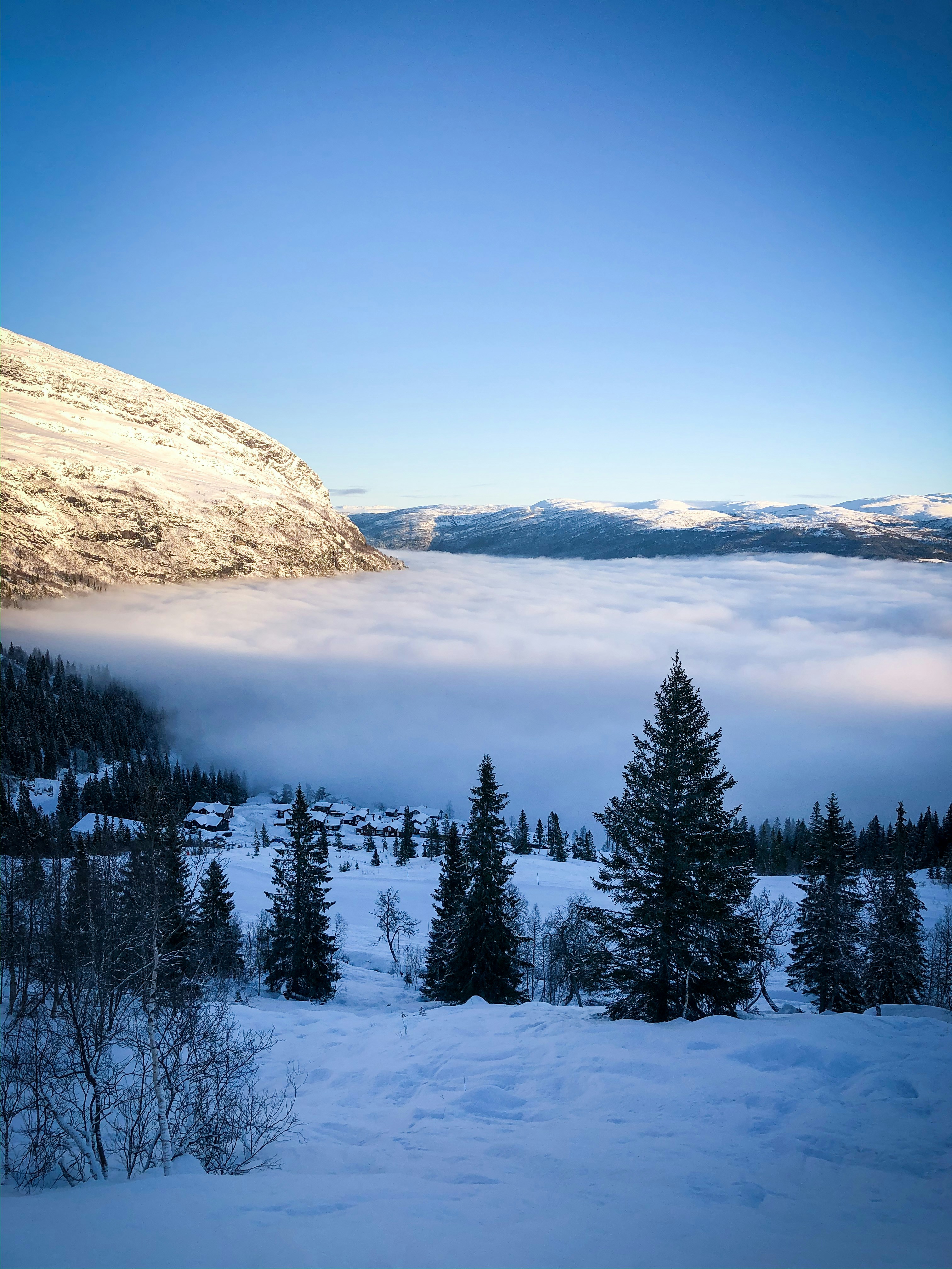 Photo by lenenjensen