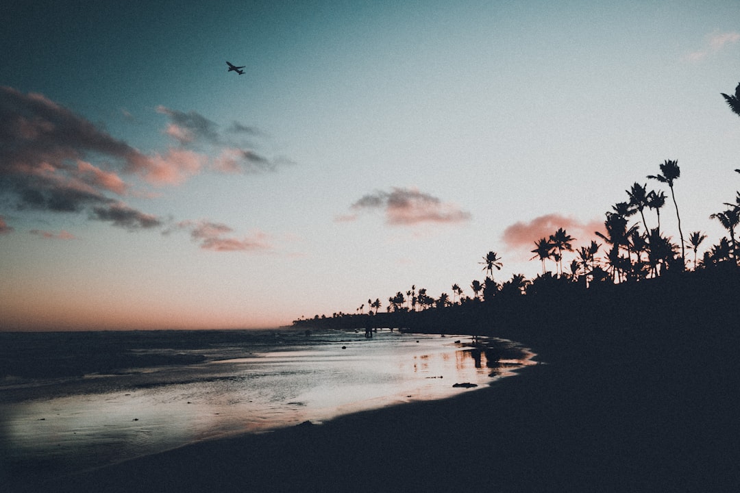 silhouette of birds flying over the sea during sunset