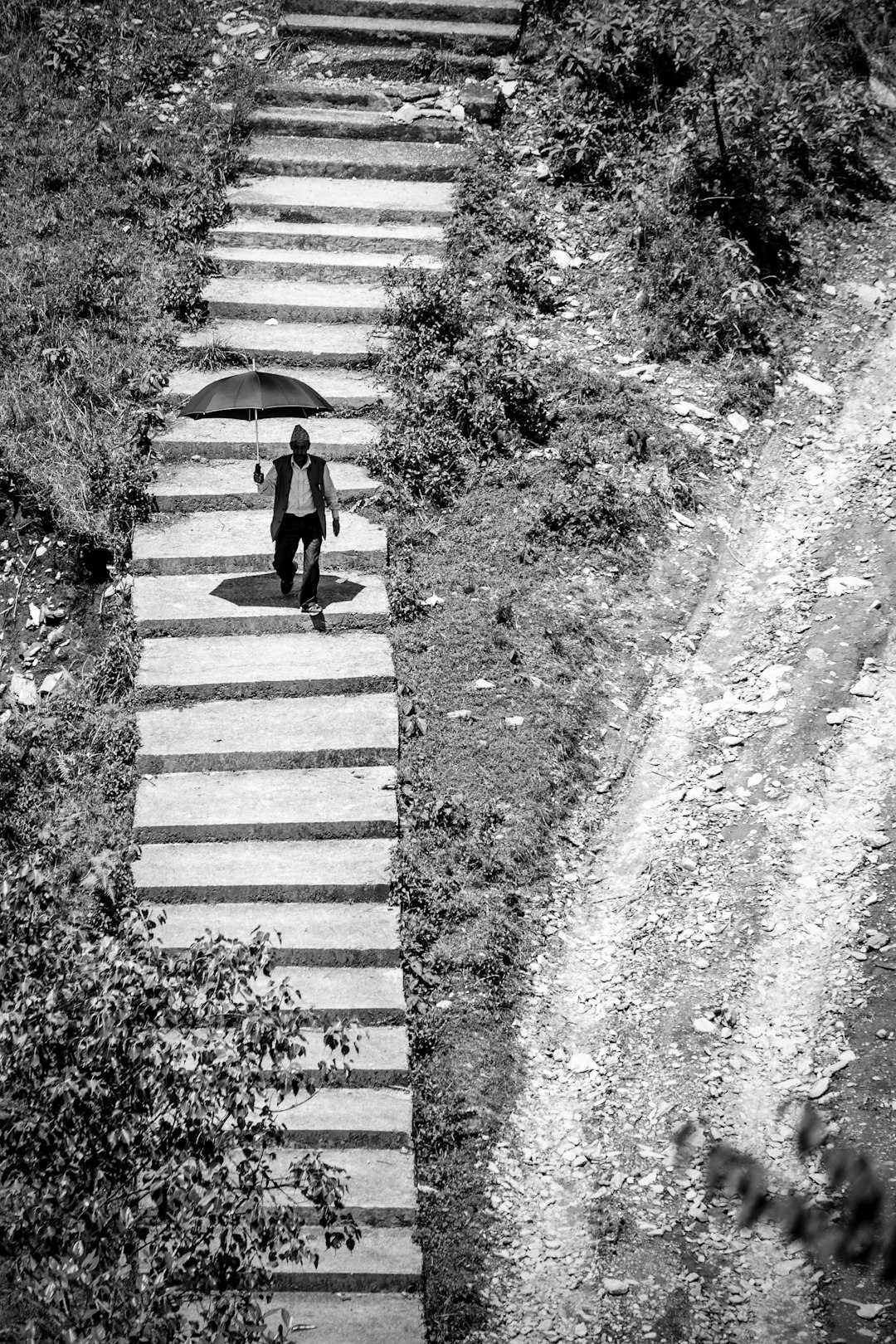 grayscale photo of person holding umbrella walking on pathway