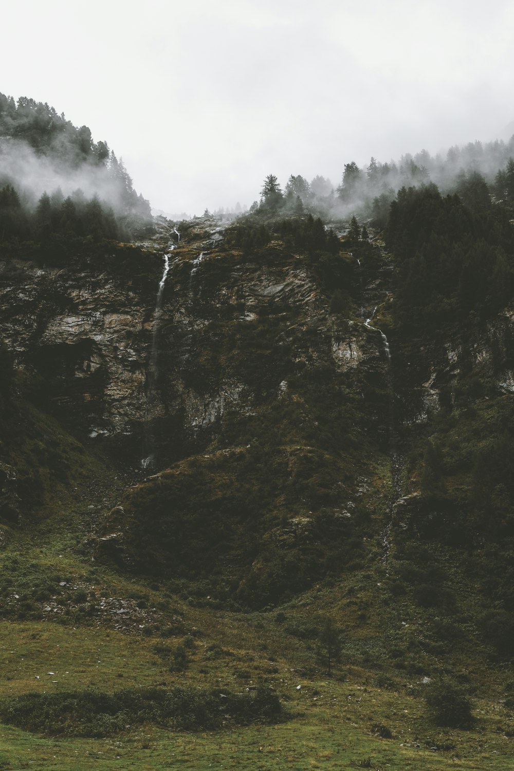 green trees on mountain under white sky during daytime