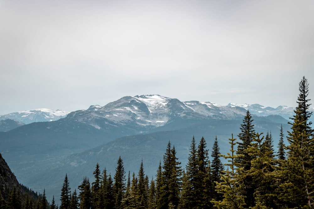 snow covered mountain under cloudy sky during daytime