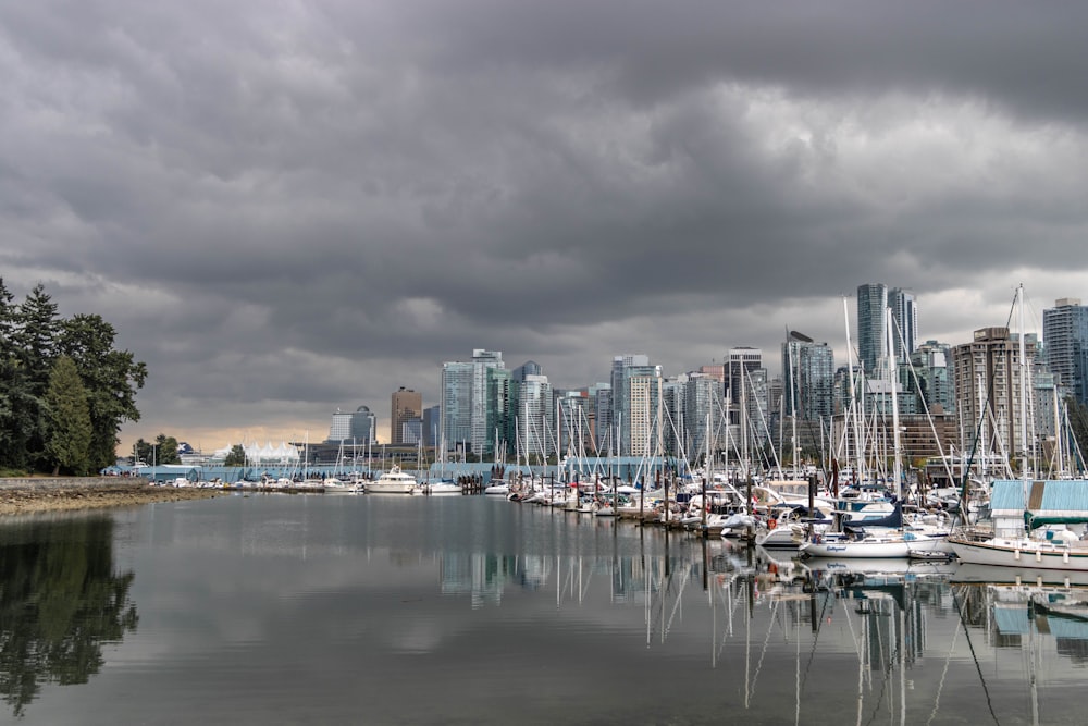 white and blue boat on sea near city buildings under gray clouds