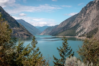 green trees near lake under blue sky during daytime