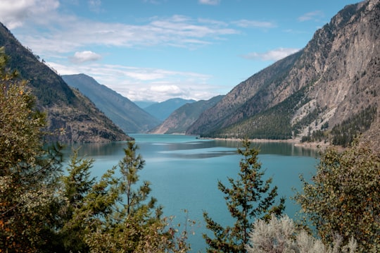 green trees near lake under blue sky during daytime in Seton Lake Canada