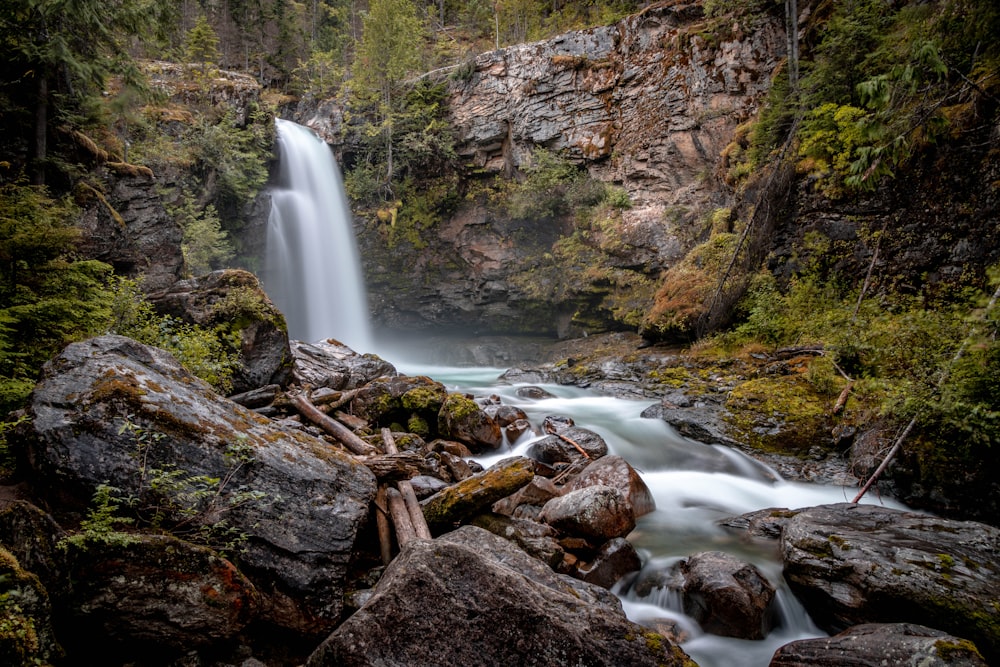 water falls in the middle of the forest