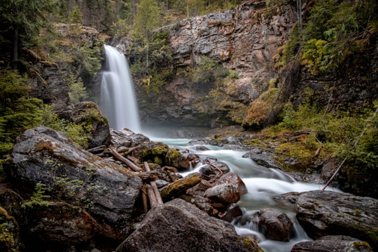 water falls in the middle of the forest in Revelstoke Canada